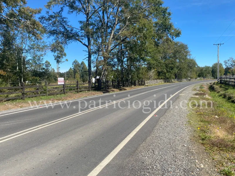 Parcela a orillas de carretera Villarrica Pitrufquen