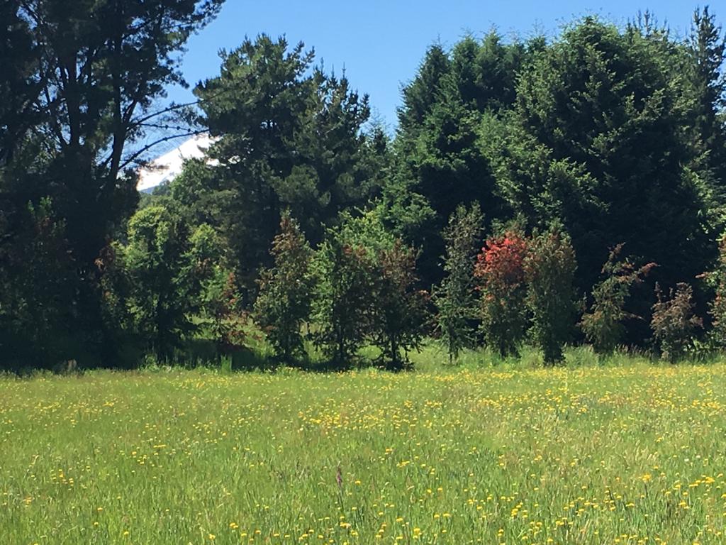 Parcelas en Villarrica, a minutos del centro — foto 15
