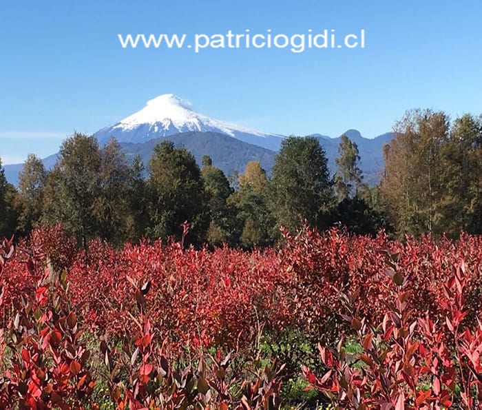 Parcelas en Villarrica, a minutos del centro — foto 17