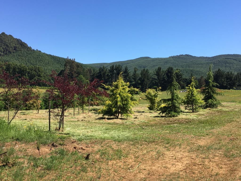 Parcelas en Villarrica, a minutos del centro — foto 23