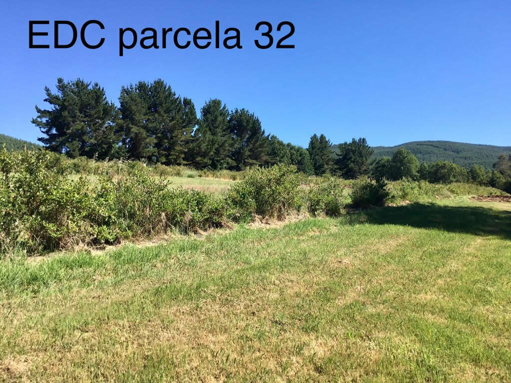 Parcelas en Villarrica, a minutos del centro — foto 24