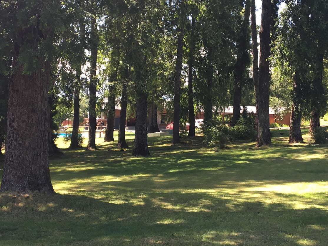 Casa en Parcela con Piscina y segunda Casa — foto 3