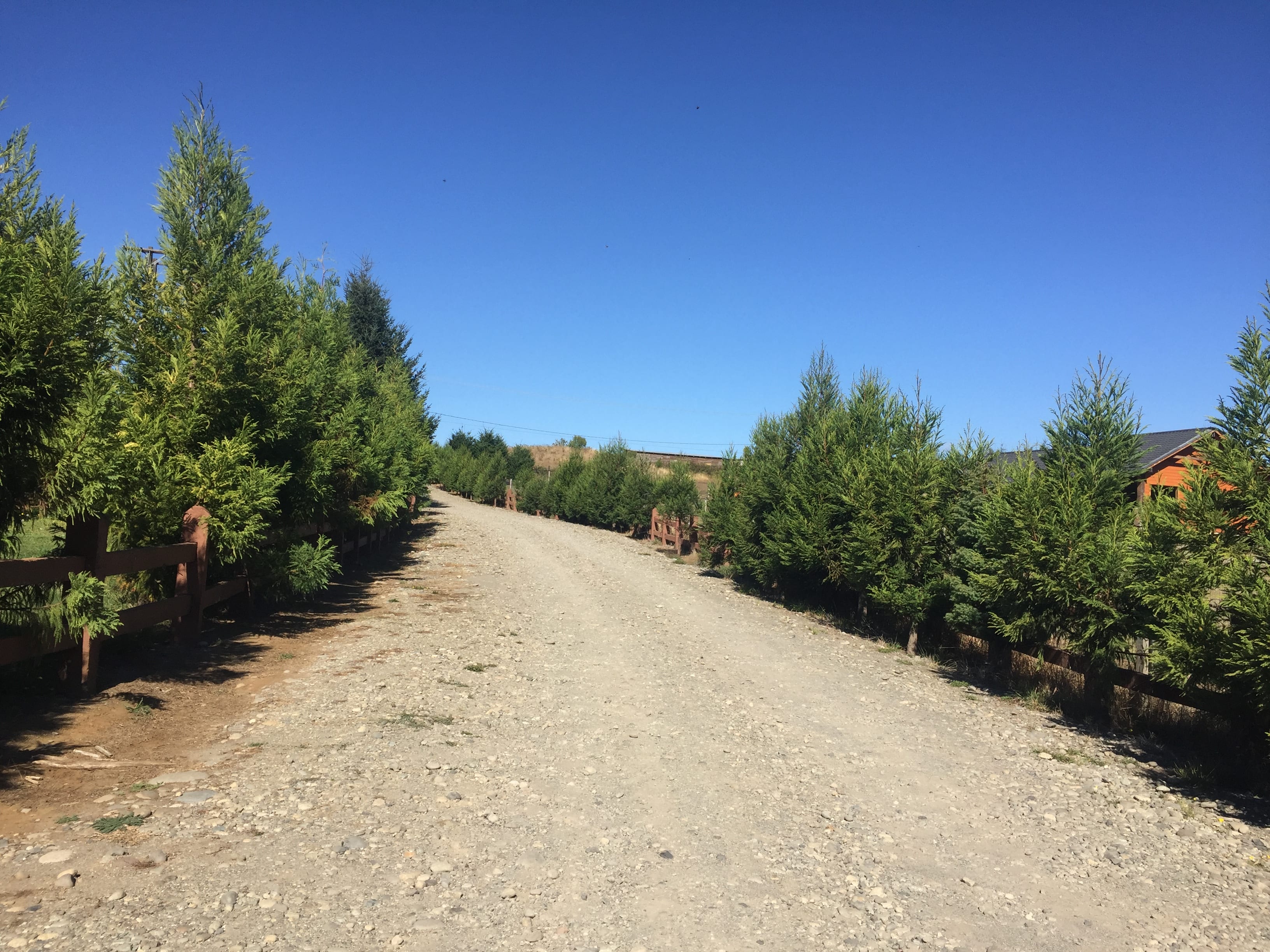Parcela en Villarrica, las más cercanas al centro — foto 4