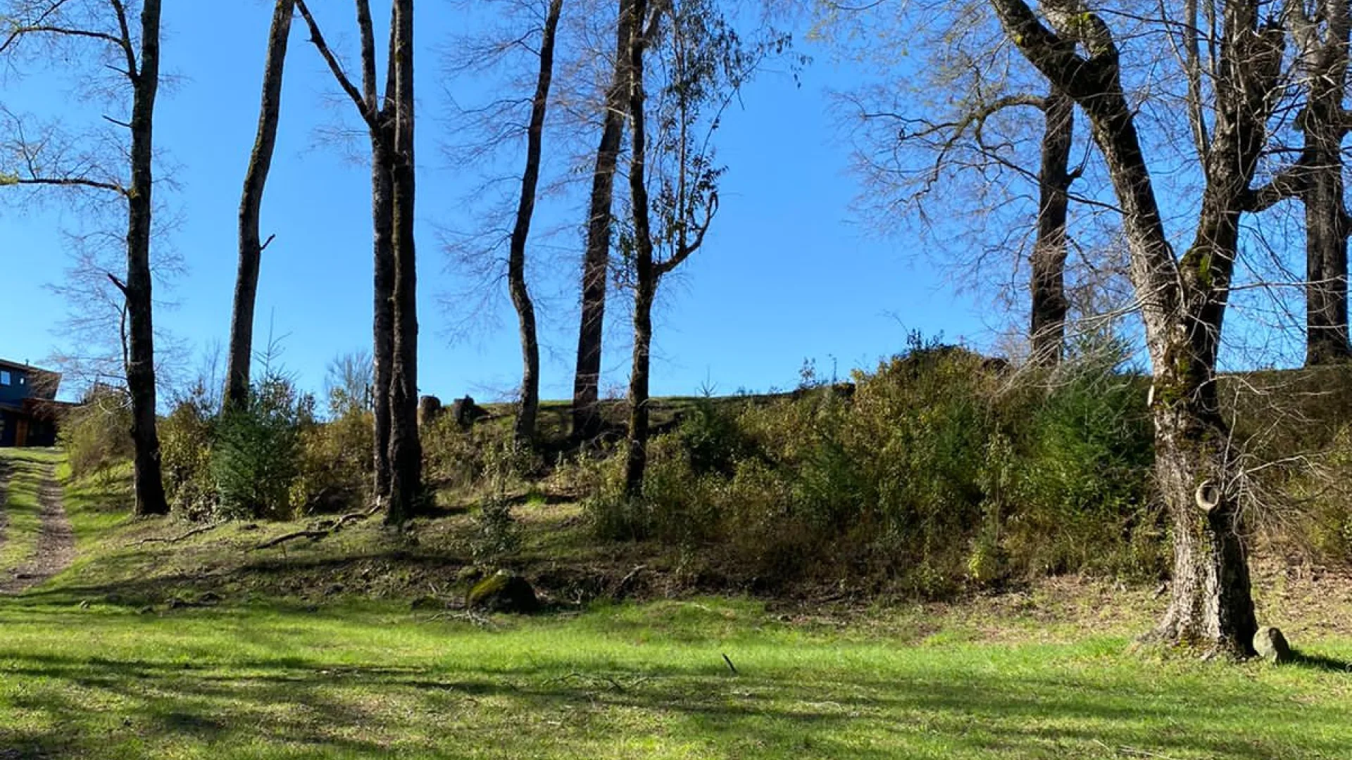 Parcelas en Pucón, Condominio Canto del Estero