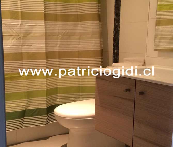Pucon Departamento Estudio — foto 4