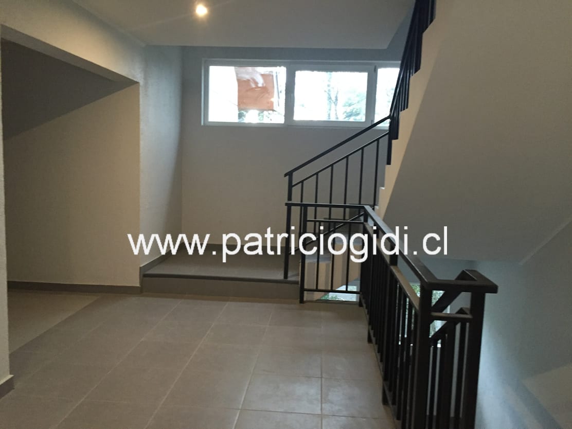 Pucon Departamento Estudio — foto 11