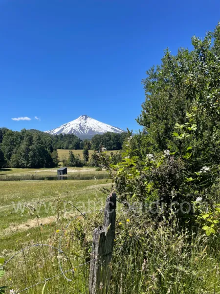Terreno en Candelaria, Pucon, Sur de Chile