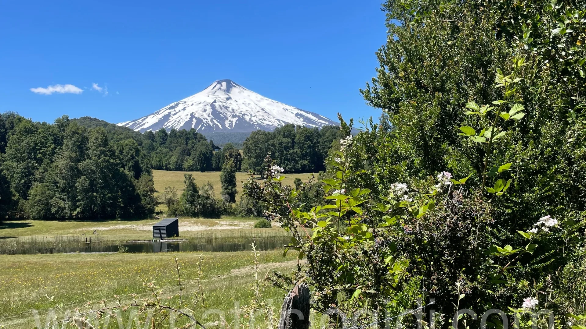 Terreno en Candelaria, Pucon, Sur de Chile