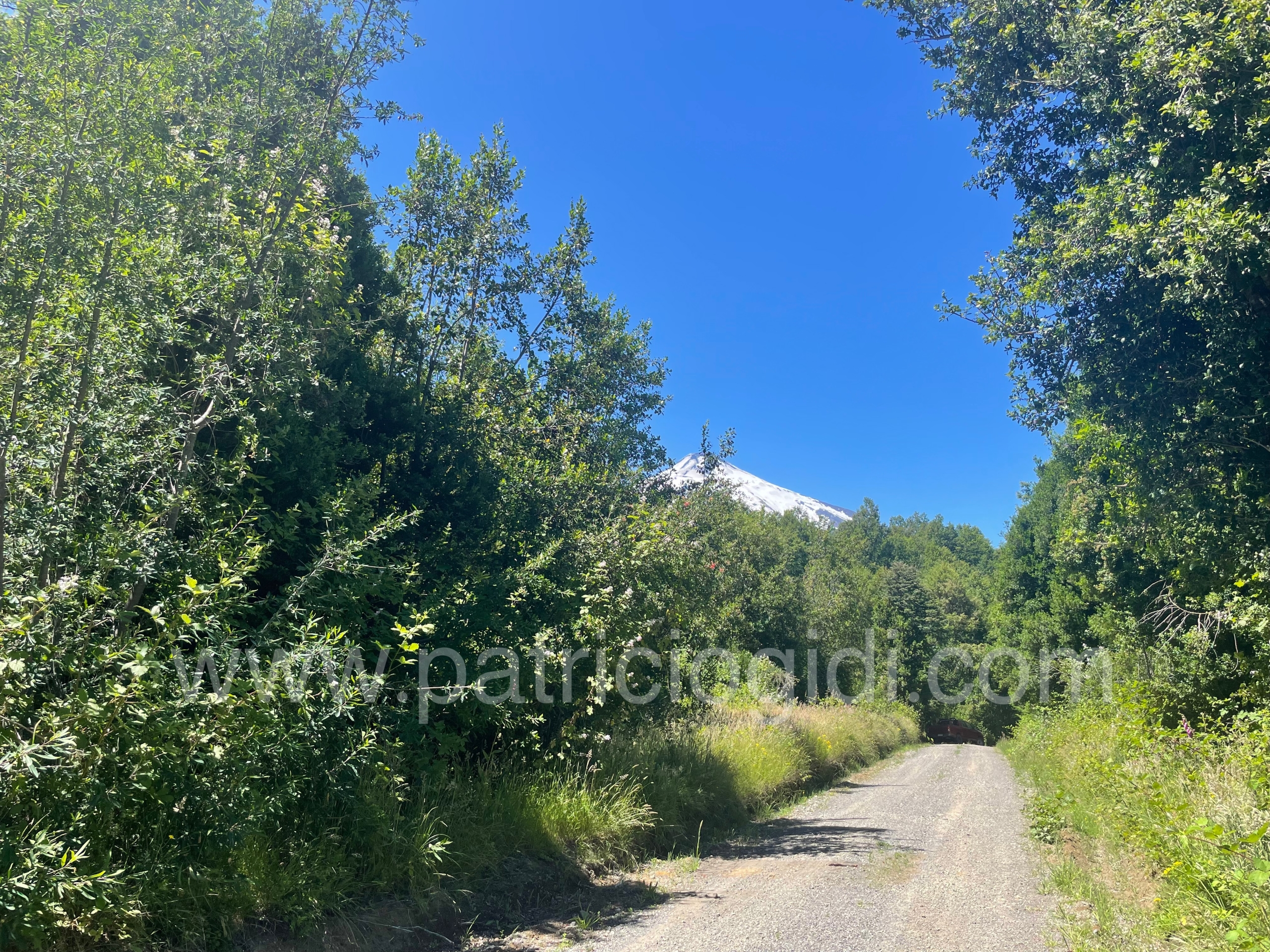 Terreno en Candelaria, Pucon, Sur de Chile — foto 2