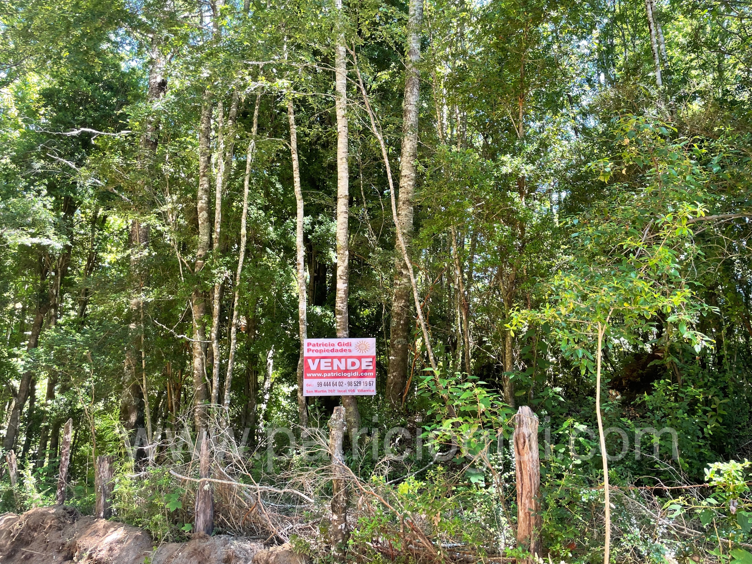 Terreno en Candelaria, Pucon, Sur de Chile — foto 5