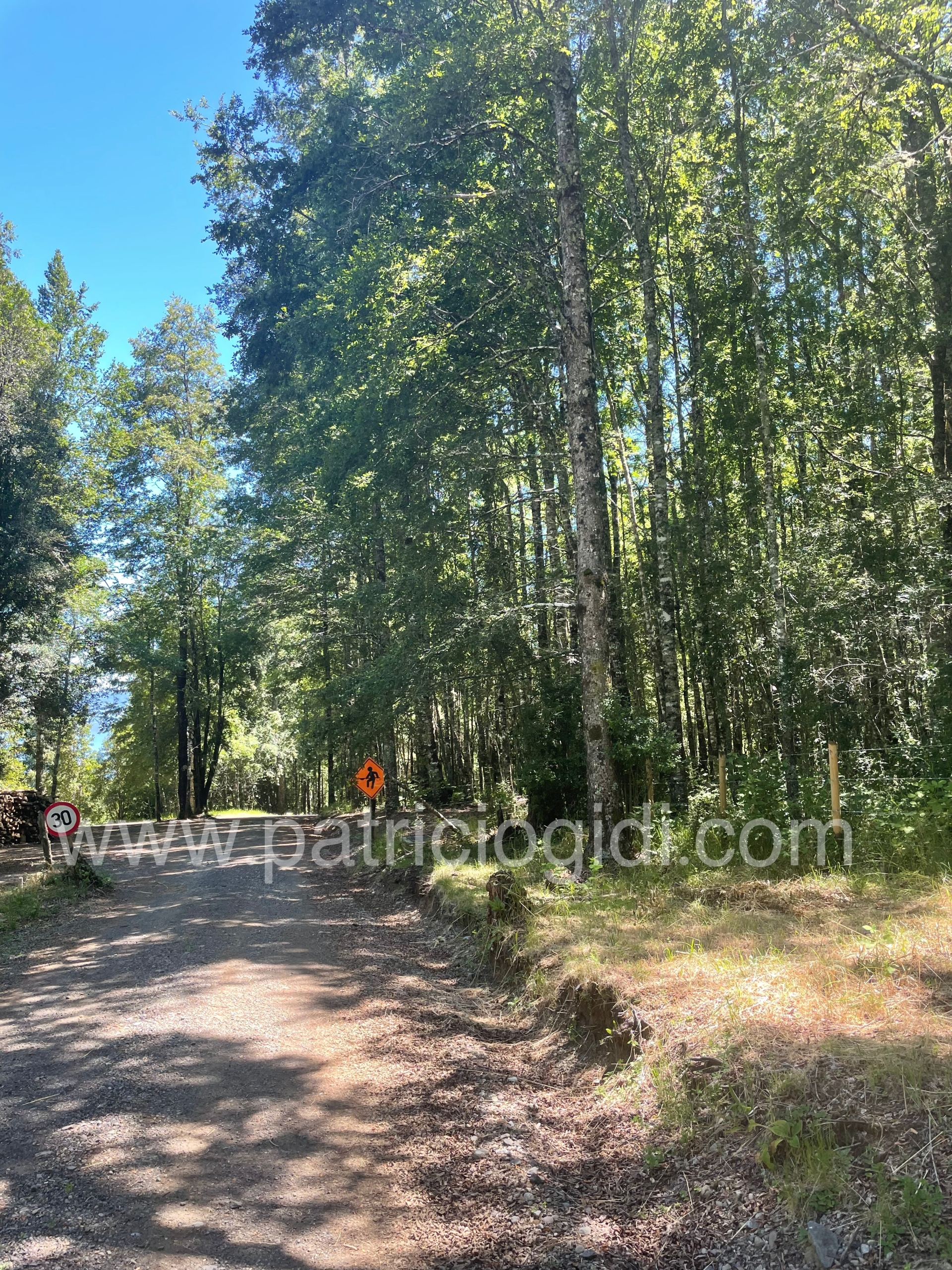 Terreno en Candelaria, Pucon, Sur de Chile — foto 7