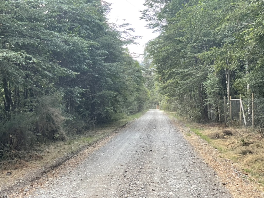 Casa en Parcela de Villarrica — foto 3