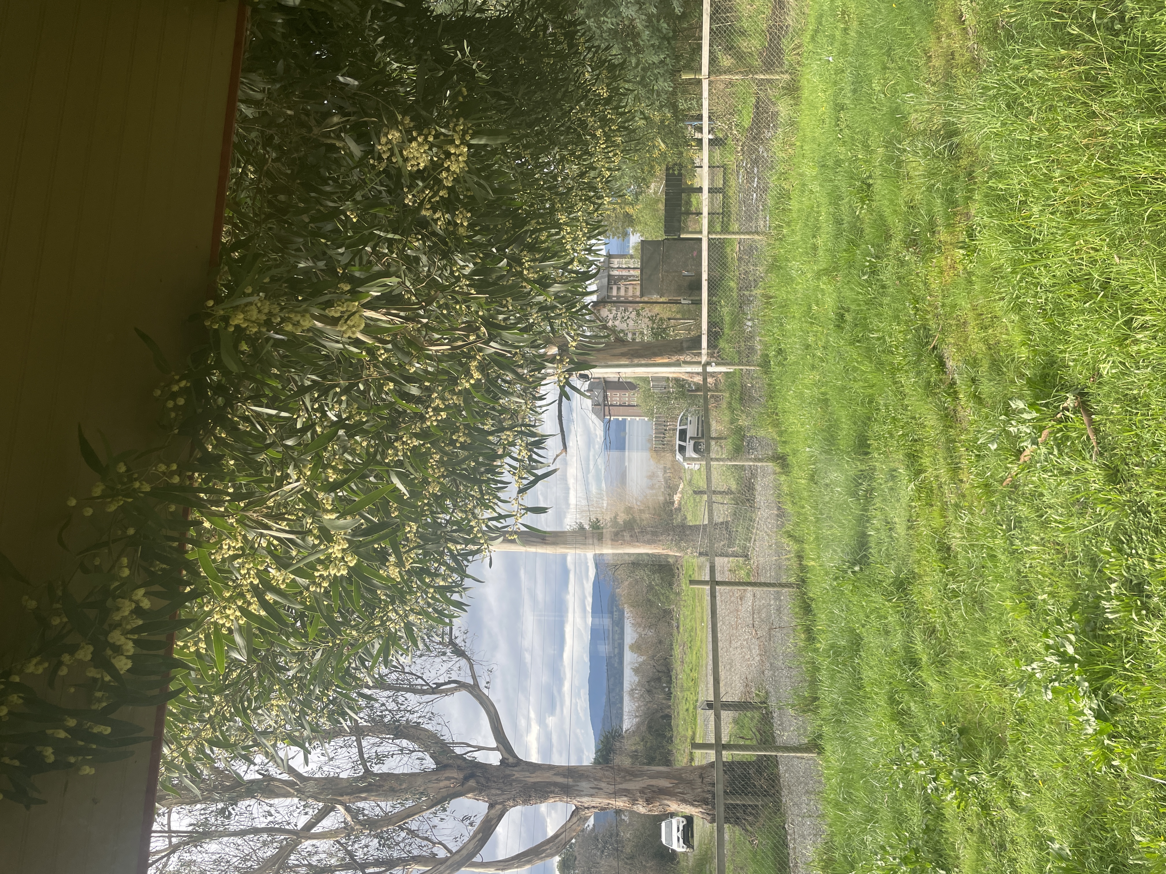 Arriendo Comercial en Villarrica — foto 6