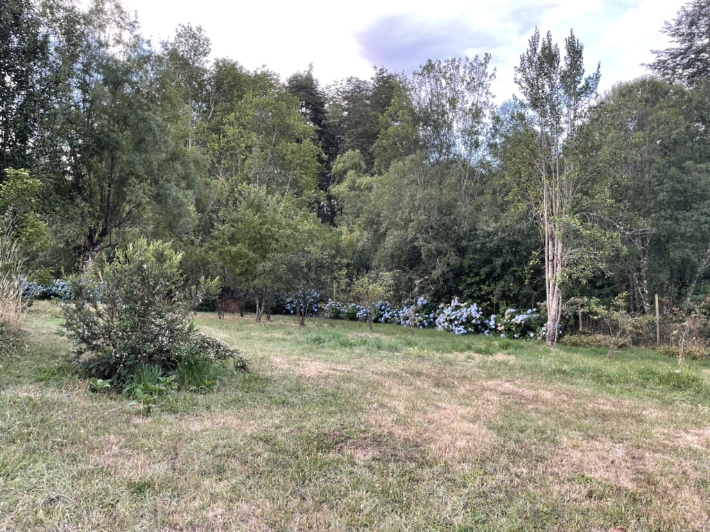 Casa en Parcela de Villarrica — foto 14