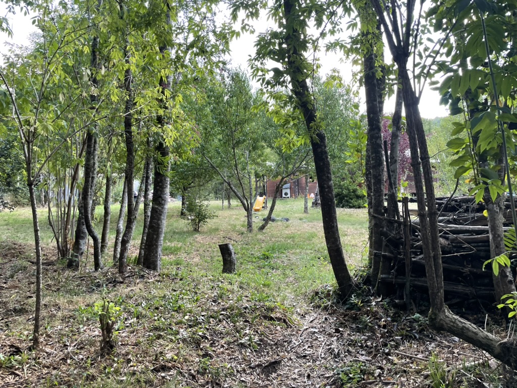 Casa en Parcela de Villarrica — foto 15