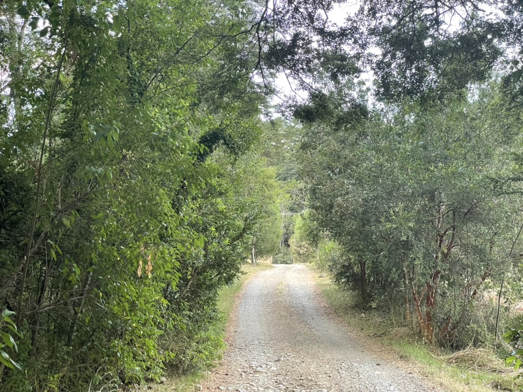 Casa en Parcela de Villarrica — foto 16