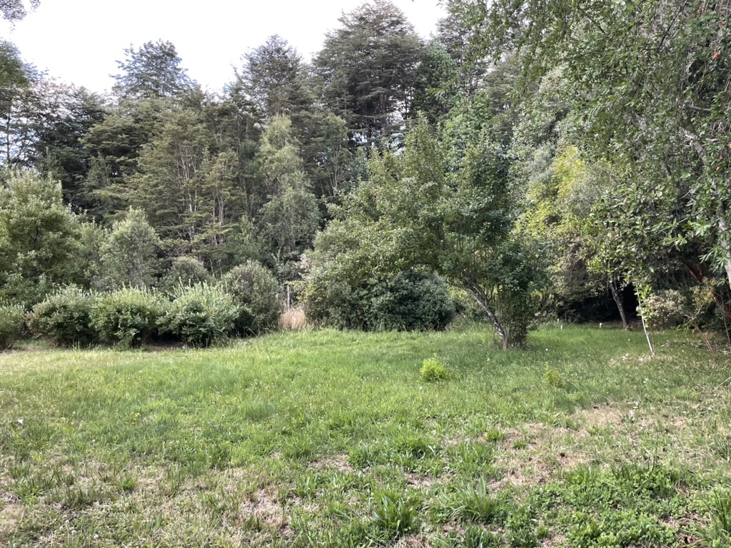 Casa en Parcela de Villarrica — foto 18