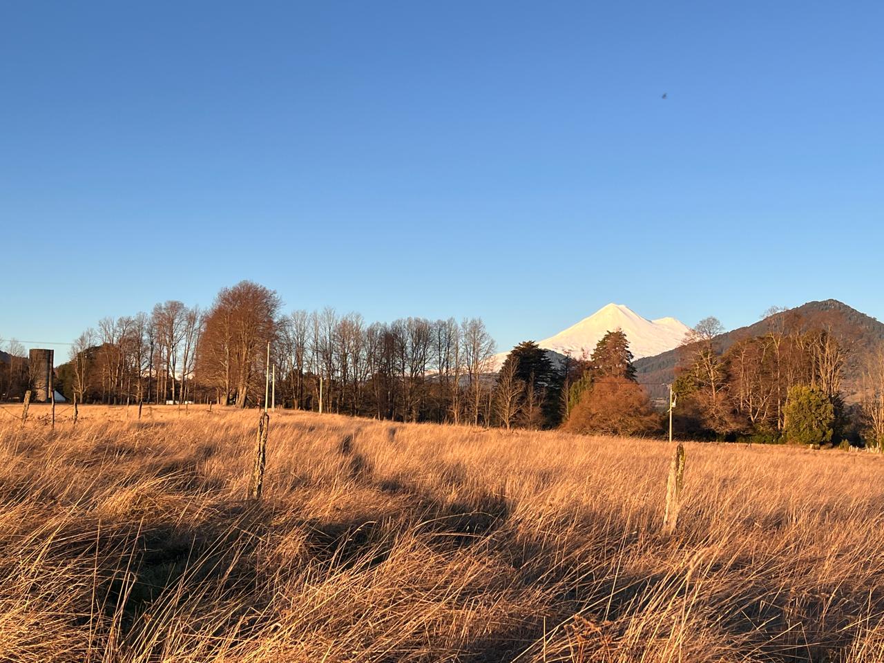 Parcela en Vilcun, con Vista a Volcan Llaima — foto 8