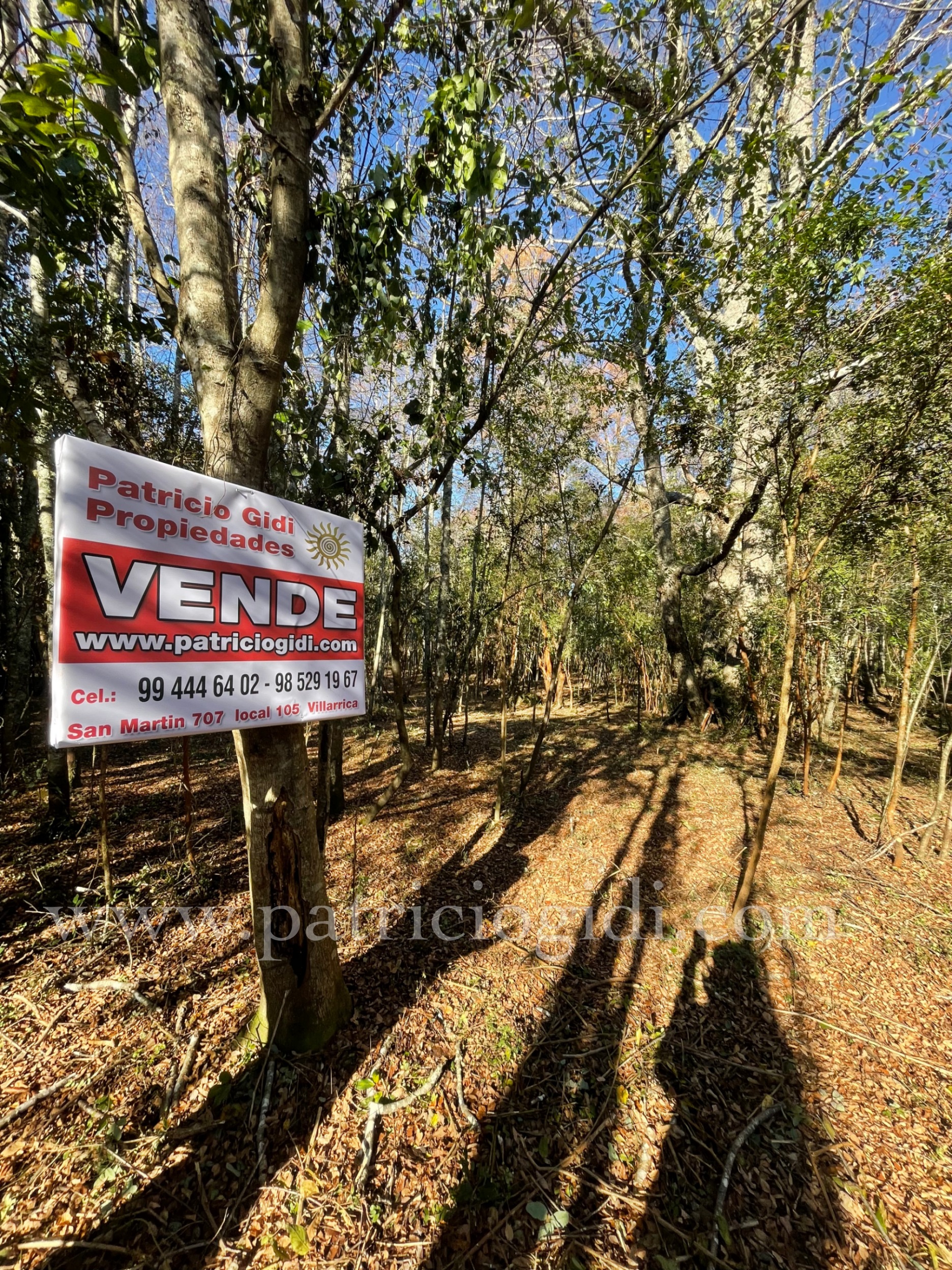 Parcela en Pucon Villarrica, Sector Molco Alto — foto 1