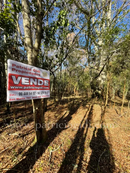 Parcela en Pucon Villarrica, Sector Molco Alto
