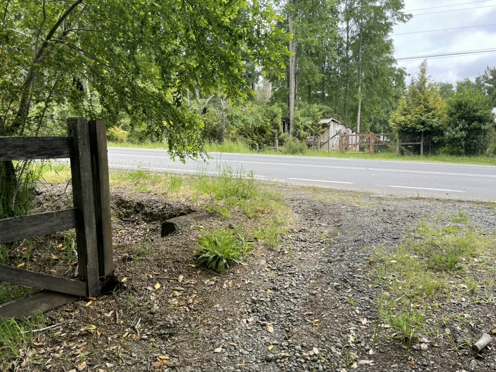 Campo a orillas de Carretera Villarrica Loncoche — foto 2