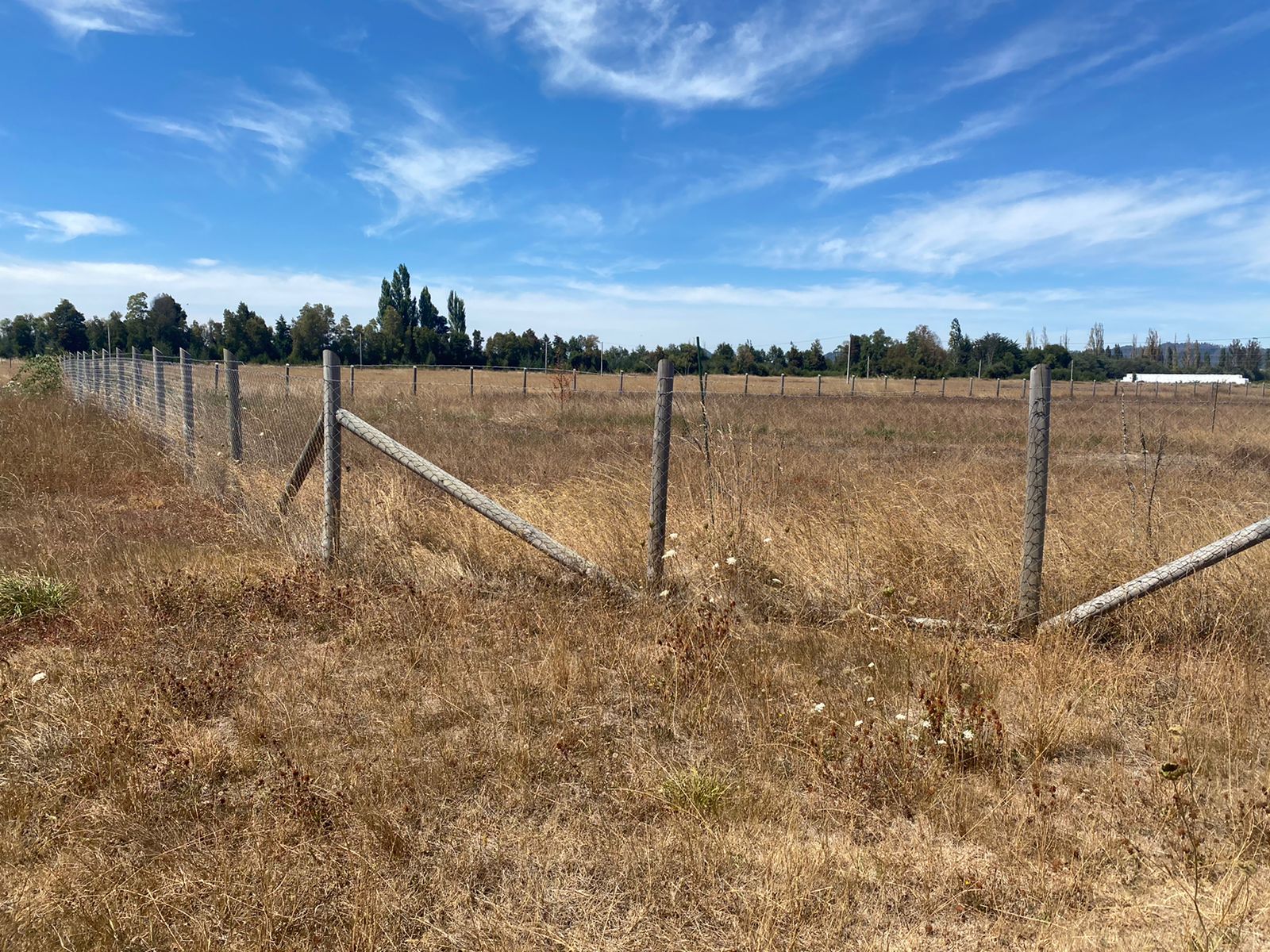 Parcela en Freire a minutos de Temuco y de Villarrica — foto 3