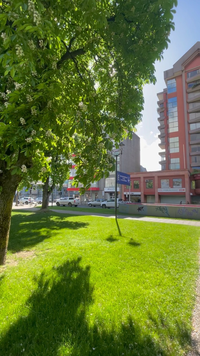 Departamento en Temuco, Edificio Cordillera — foto 17