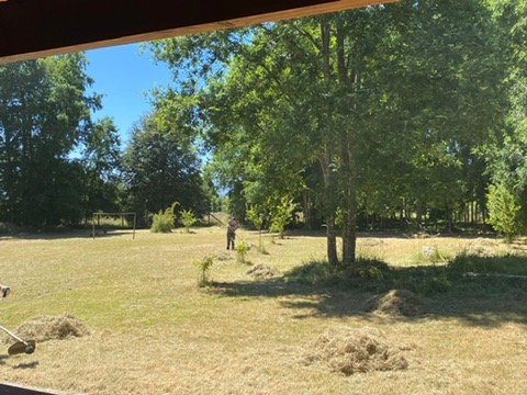 Casa en Parcela de Puerto Pucón, Oportunidad de Inversión — foto 14