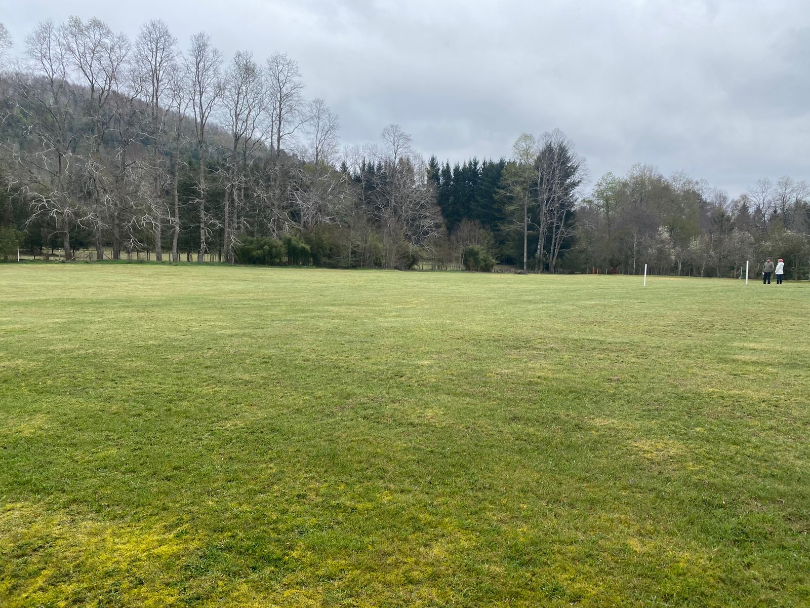 Parcela en Licanray a pasos del Club de Golf — foto 4