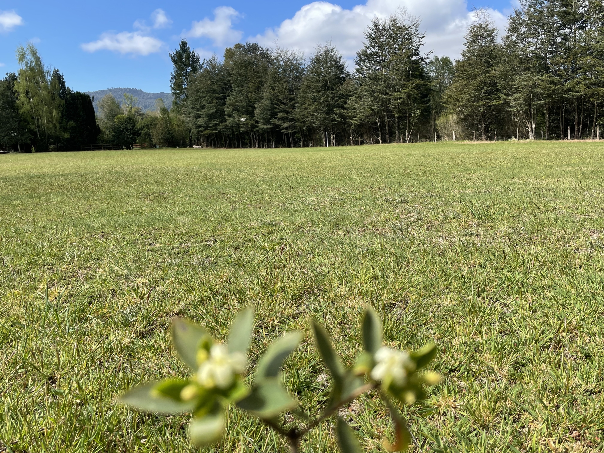Parcela en Licanray a pasos del Club de Golf — foto 6