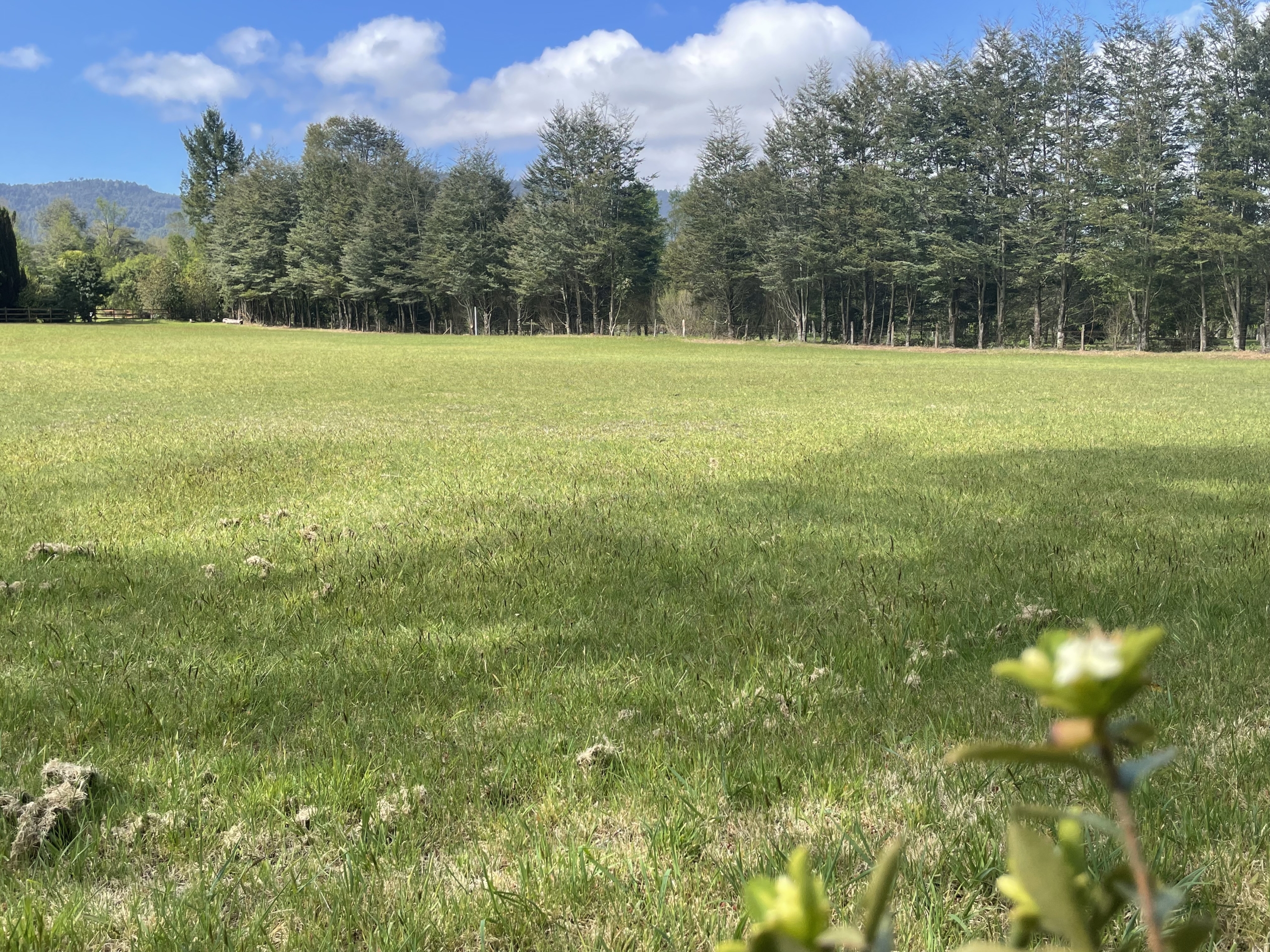 Parcela en Licanray a pasos del Club de Golf — foto 7