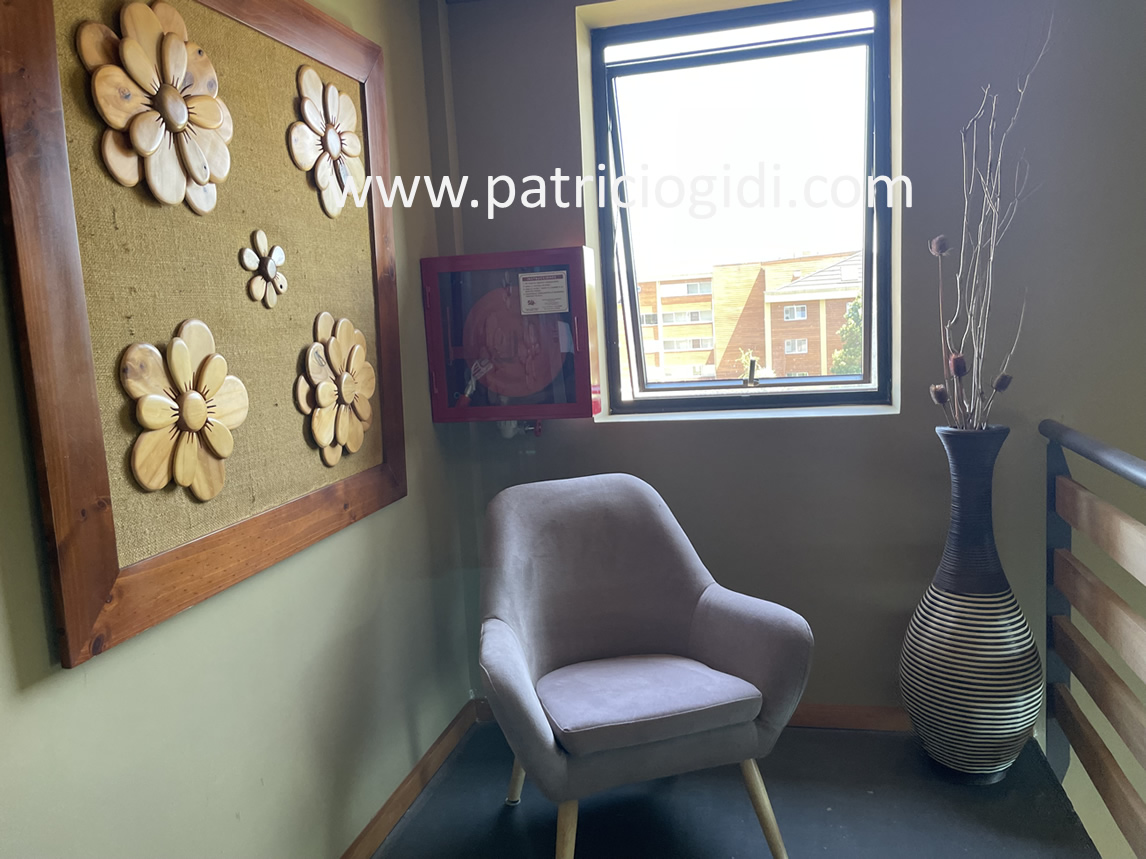 Hotel en Villarrica con Locales Comerciales — foto 12