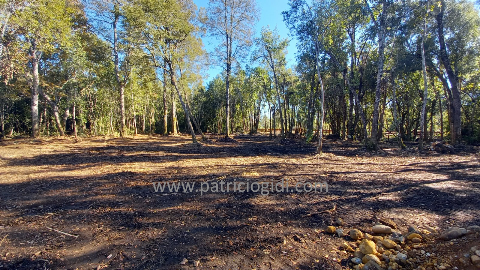Parcela en Villarrica, en Country Villarrica II — foto 4
