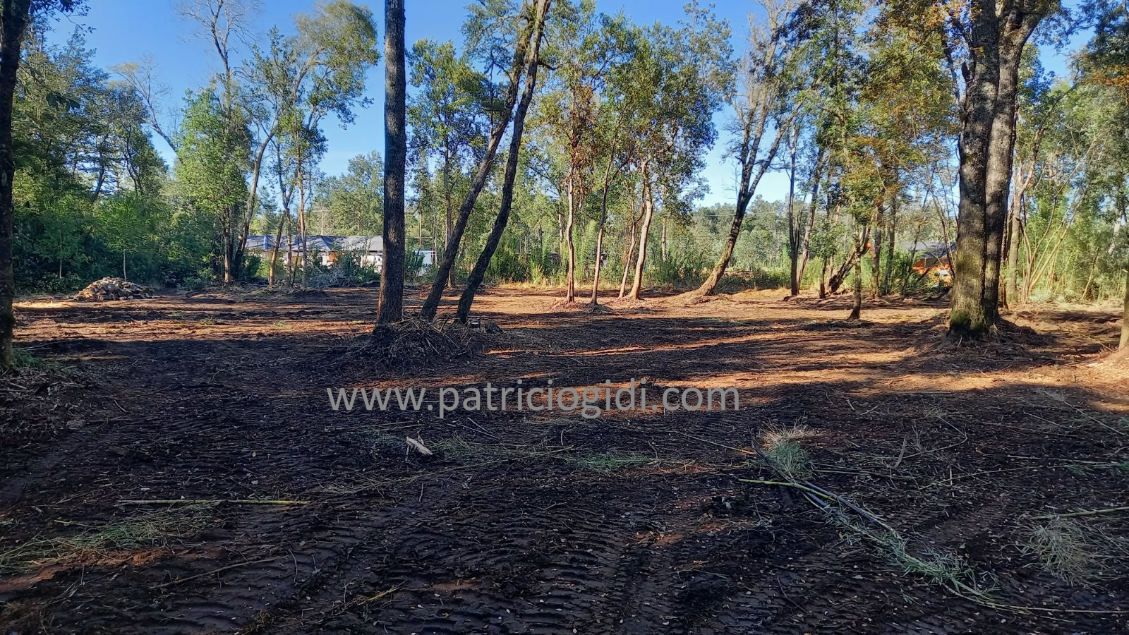 Parcela en Villarrica, en Country Villarrica II — foto 6