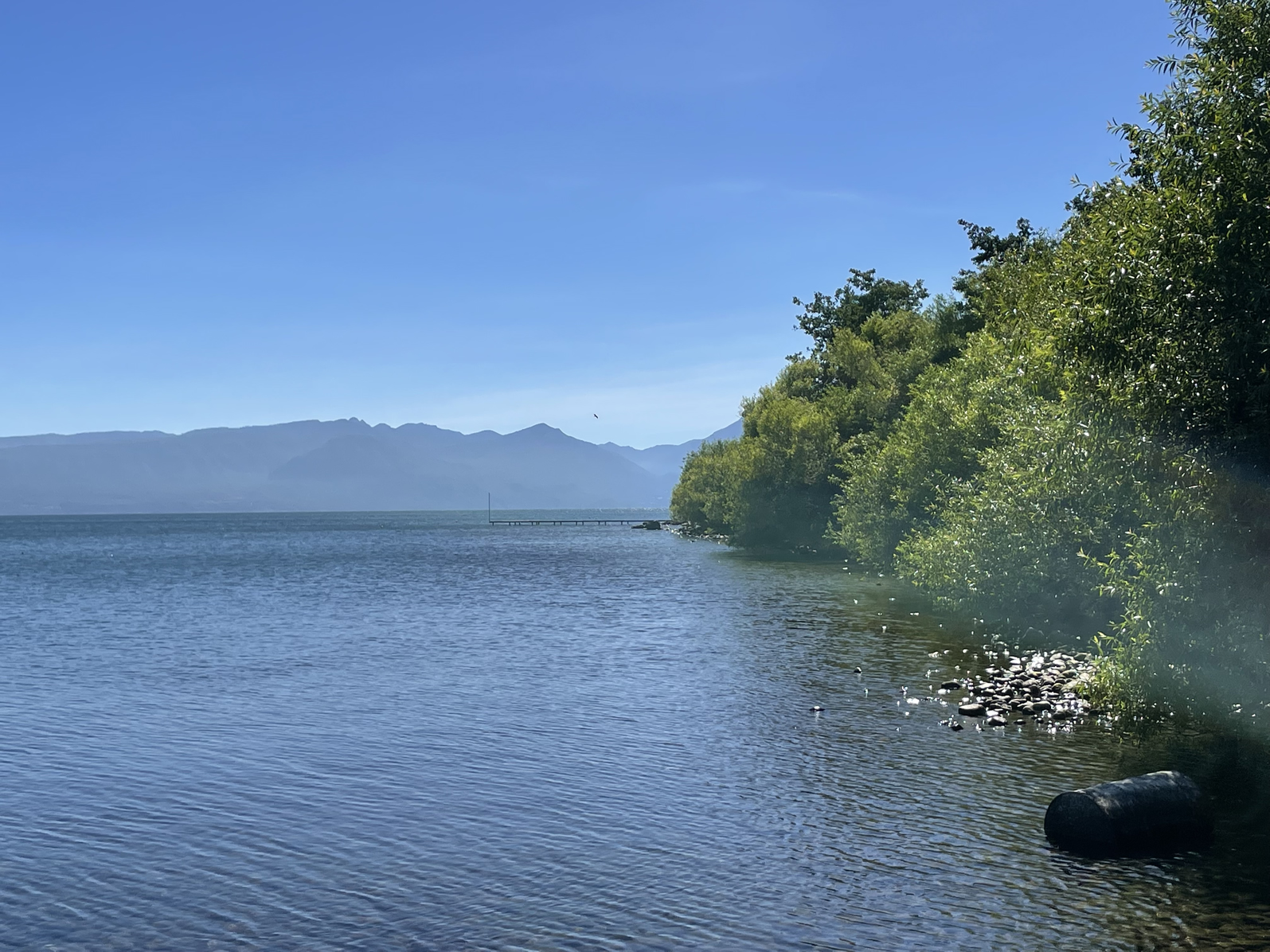 Terreno en Lago Villarrica a minutos del centro — foto 1