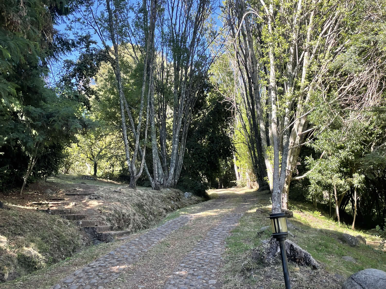 Terreno en Lago Villarrica a minutos del centro — foto 5