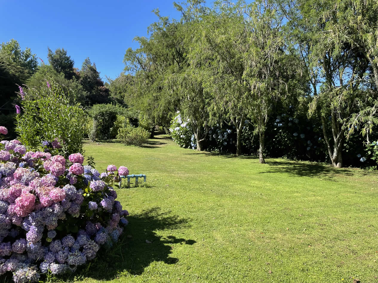 Terreno en Lago Villarrica a minutos del centro — foto 10