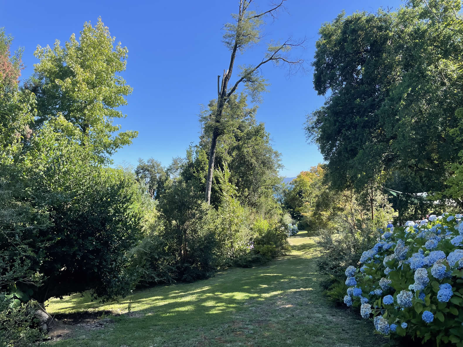 Terreno en Lago Villarrica a minutos del centro — foto 14