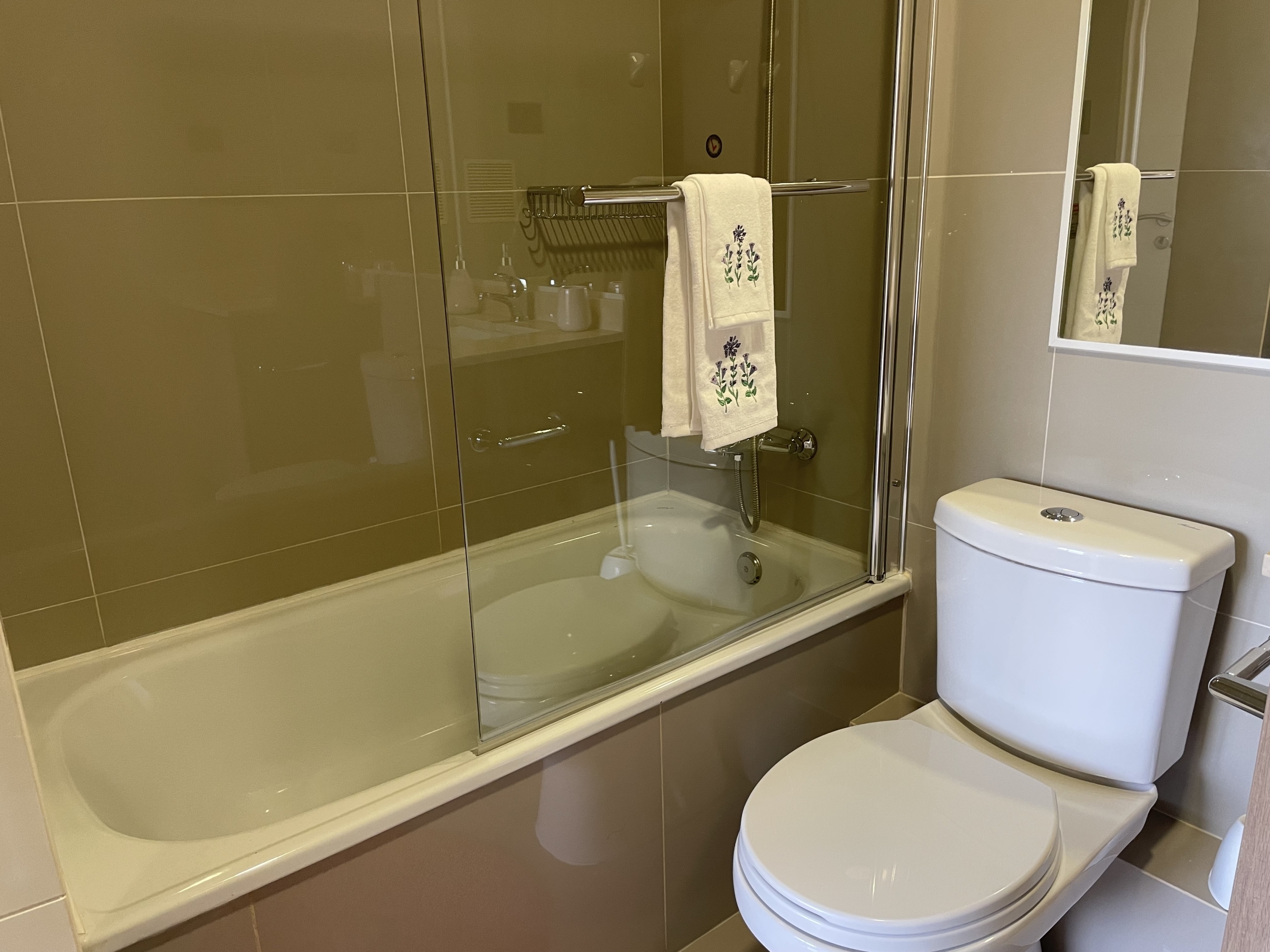 Departamento en Villarrica, Condominio Playa Costanera — foto 7