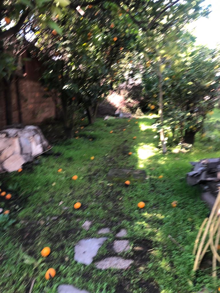 Casa en San Fernando, en cuadrante histórico — foto 19
