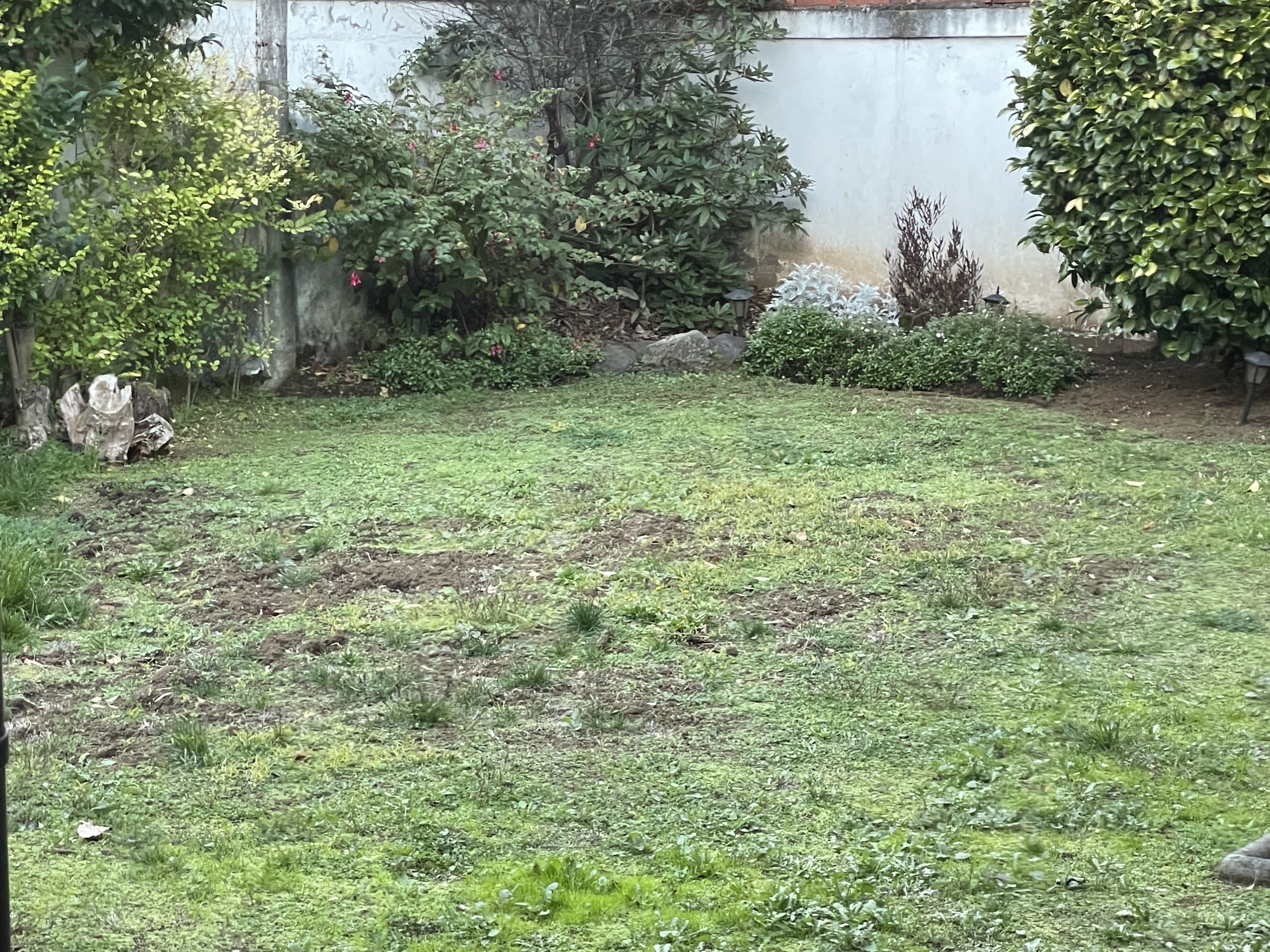 Propiedad en Temuco en la mejor ubicación Av. Alemania — foto 4