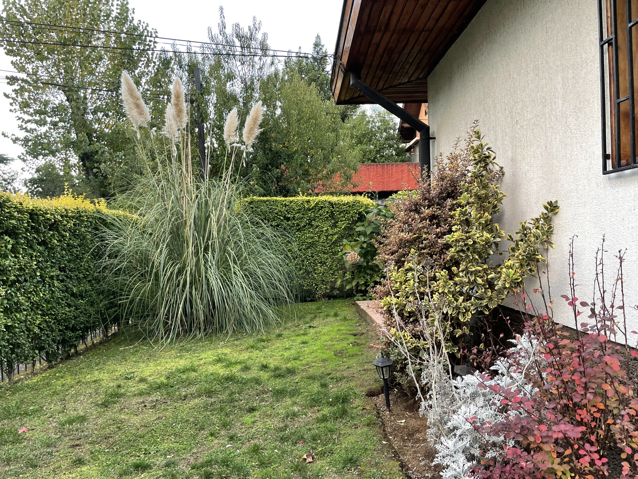 Propiedad en Temuco en la mejor ubicación Av. Alemania — foto 6