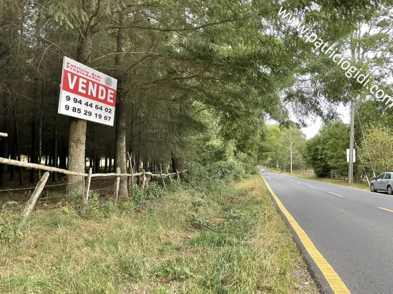 Terreno para proyecto inmobiliario en Villarrica, Segunda Faja