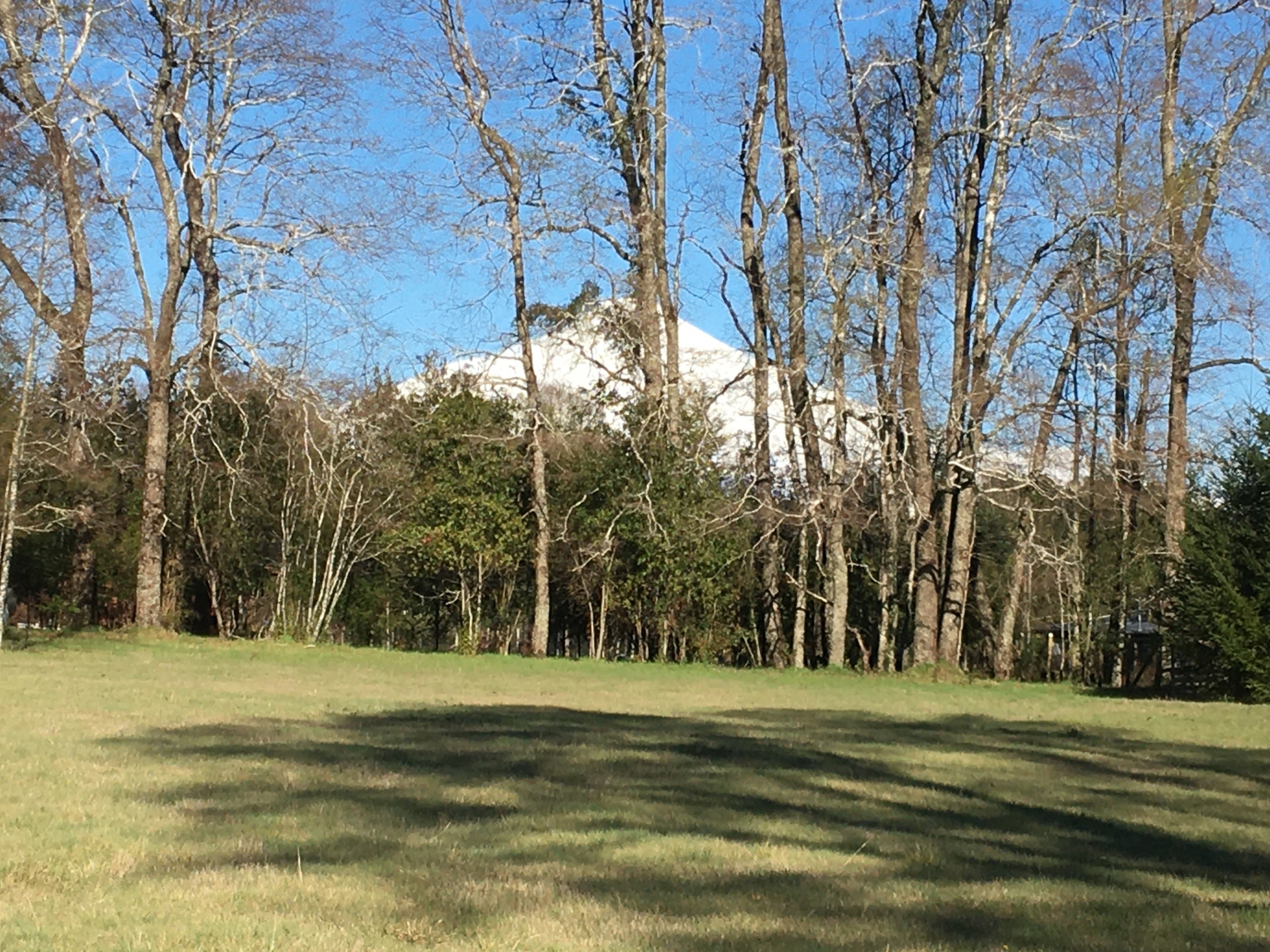 Terreno para proyecto inmobiliario en Villarrica, Segunda Faja — foto 2