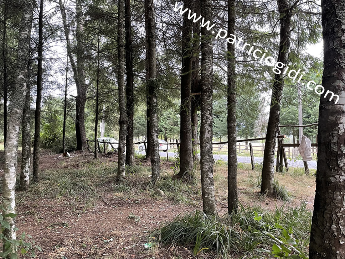 Terreno para proyecto inmobiliario en Villarrica, Segunda Faja — foto 5