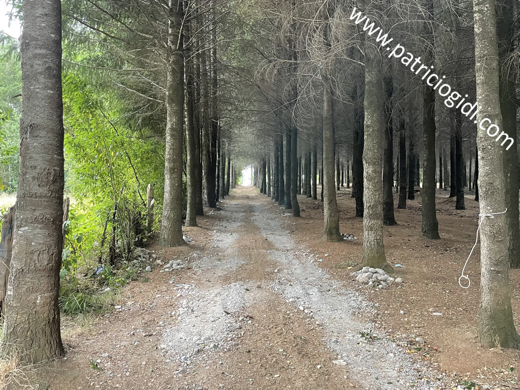 Terreno para proyecto inmobiliario en Villarrica, Segunda Faja — foto 6