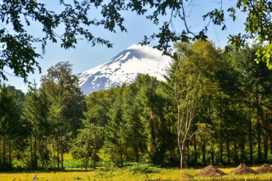 Canto del Bosque, naturaleza y exclusividad en el mismo lugar