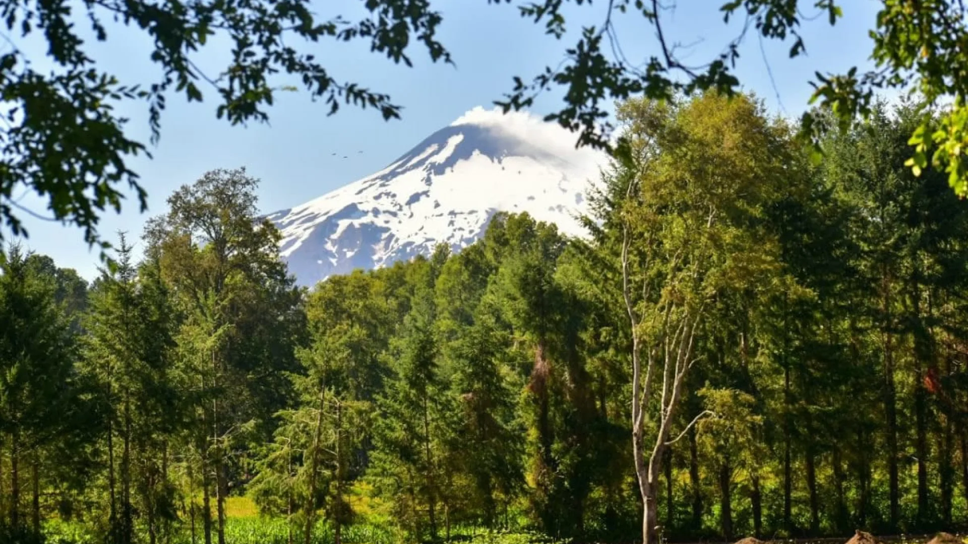 El lujo de vivir rodeado de bosque, agua y la majestuosidad del volcán en Pucón.