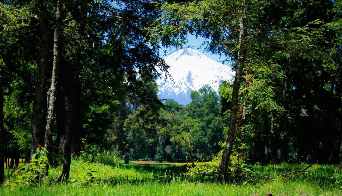 Canto del Bosque, naturaleza y exclusividad en el mismo lugar — foto 6