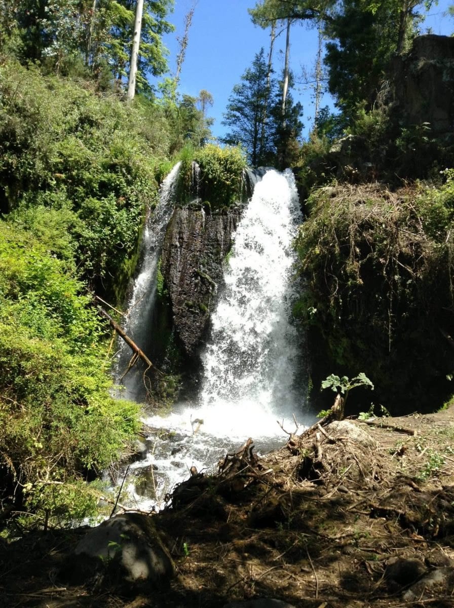Canto del Bosque, naturaleza y exclusividad en el mismo lugar — foto 7